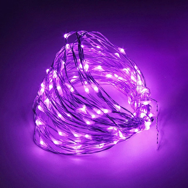 LED String Lights Silver Wire Fairy Warm White