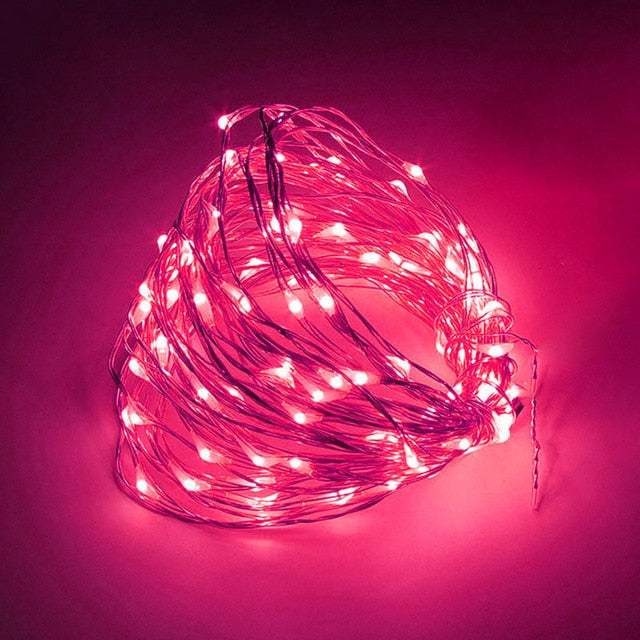 LED String Lights Silver Wire Fairy Warm White