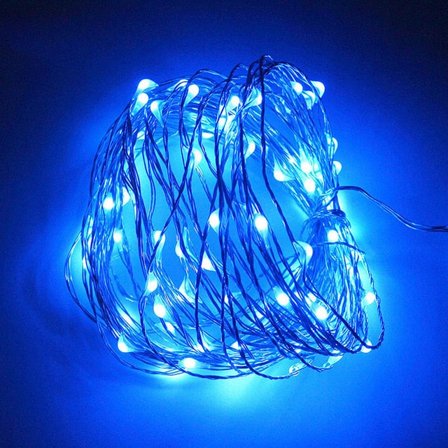 LED String Lights Silver Wire Fairy Warm White