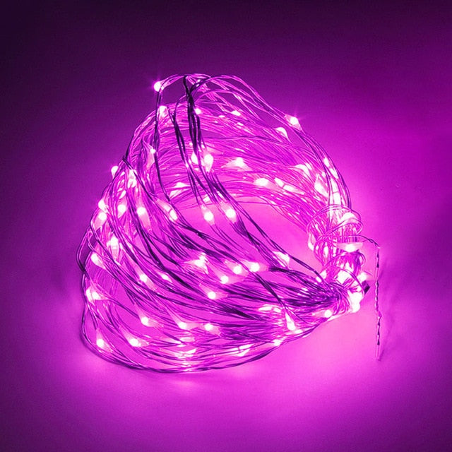 LED String Lights Silver Wire Fairy Warm White