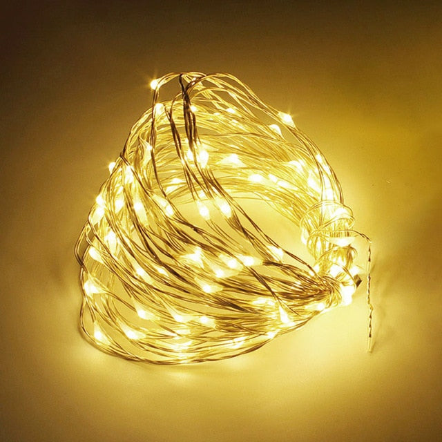 LED String Lights Silver Wire Fairy Warm White