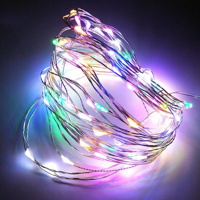 LED String Lights Silver Wire Fairy Warm White