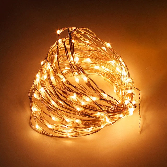 LED String Lights Silver Wire Fairy Warm White